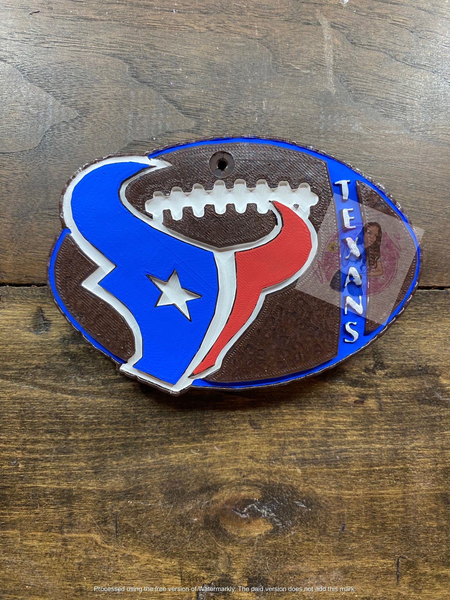 Texans Football Freshie