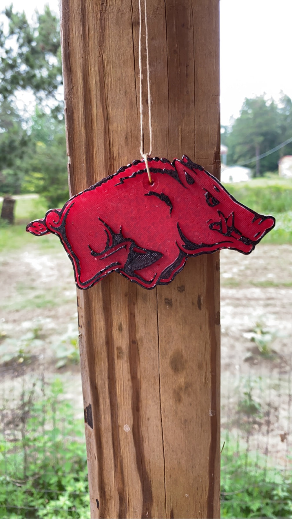 Razorback Freshie