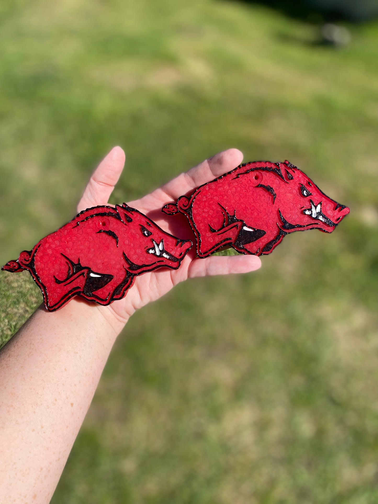 Razorback Freshie
