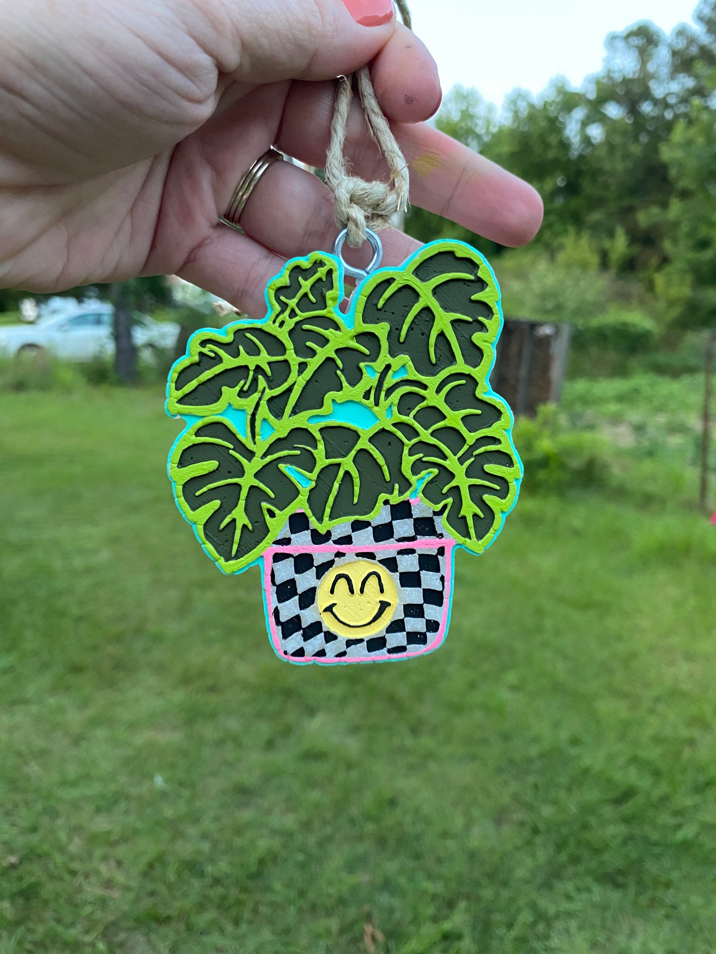 Checkered Plant Freshie