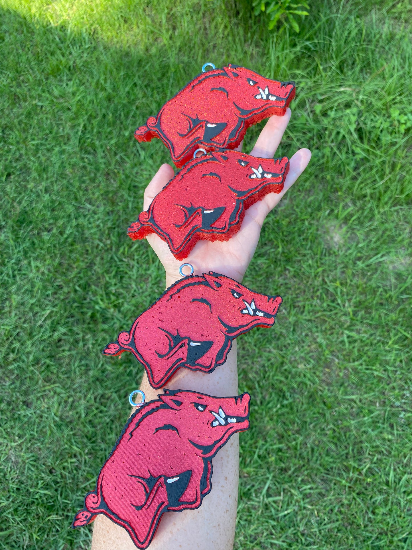 Razorback Freshie