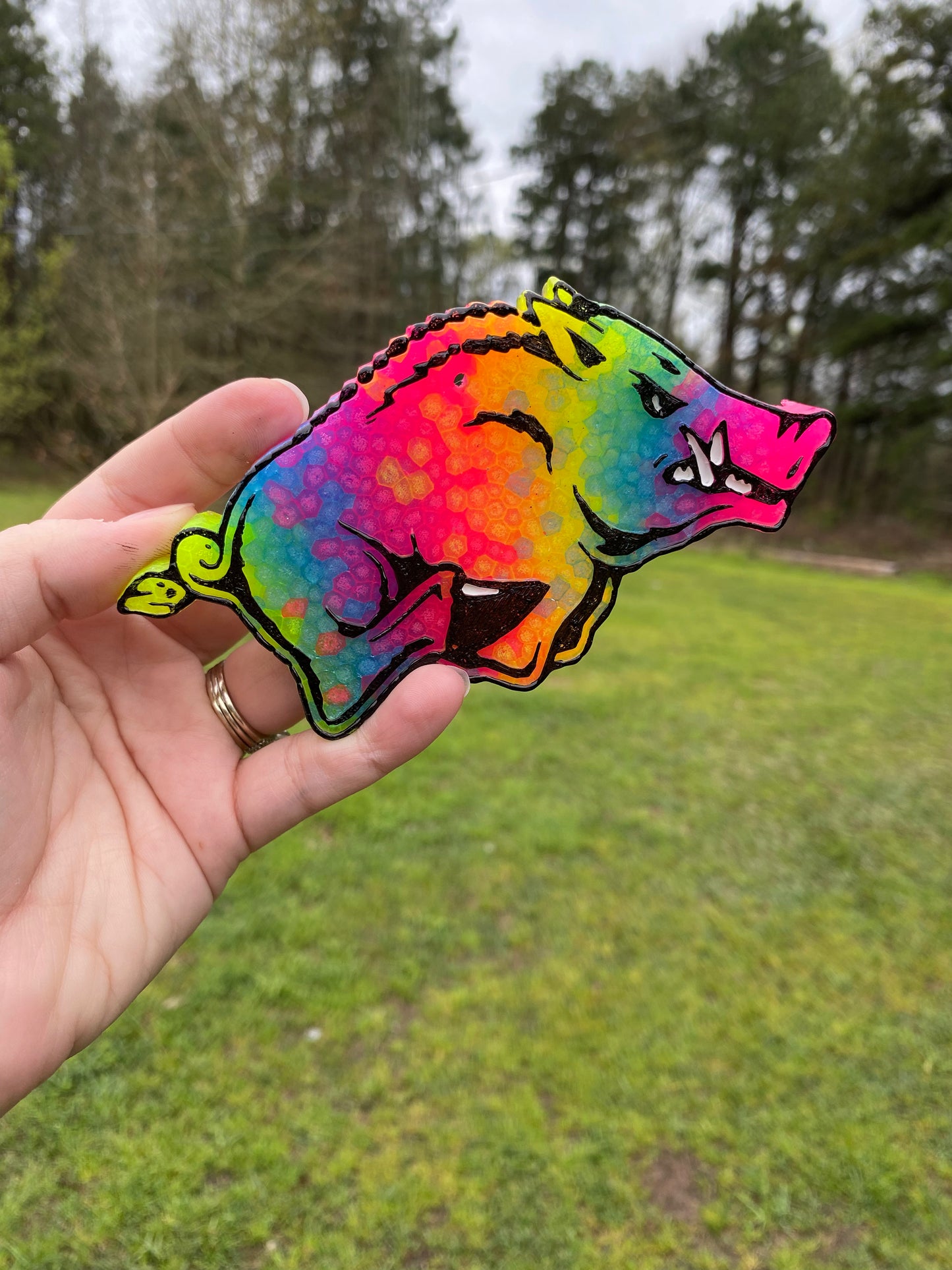 Razorback Freshie