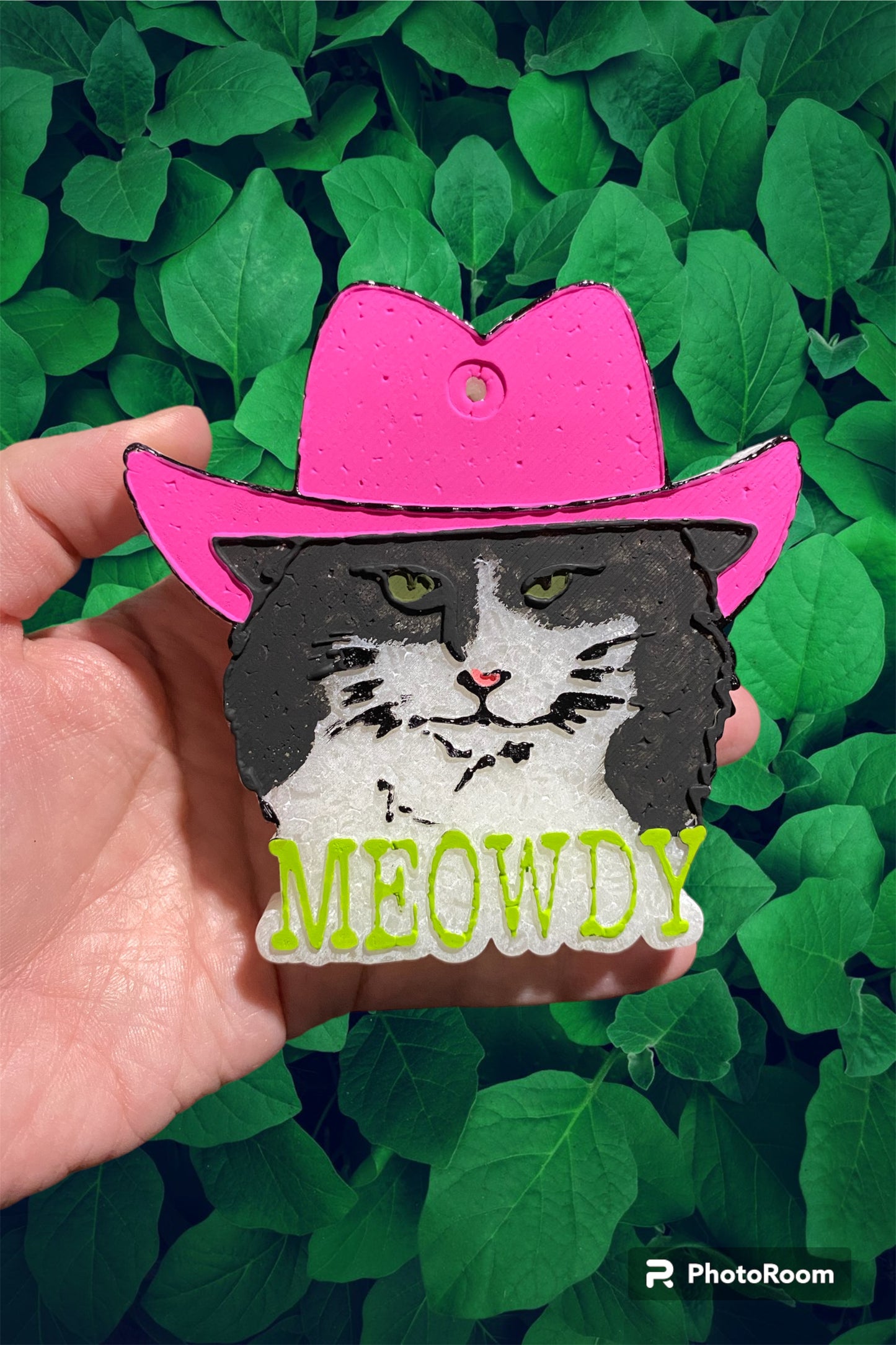 Meowdy Freshie