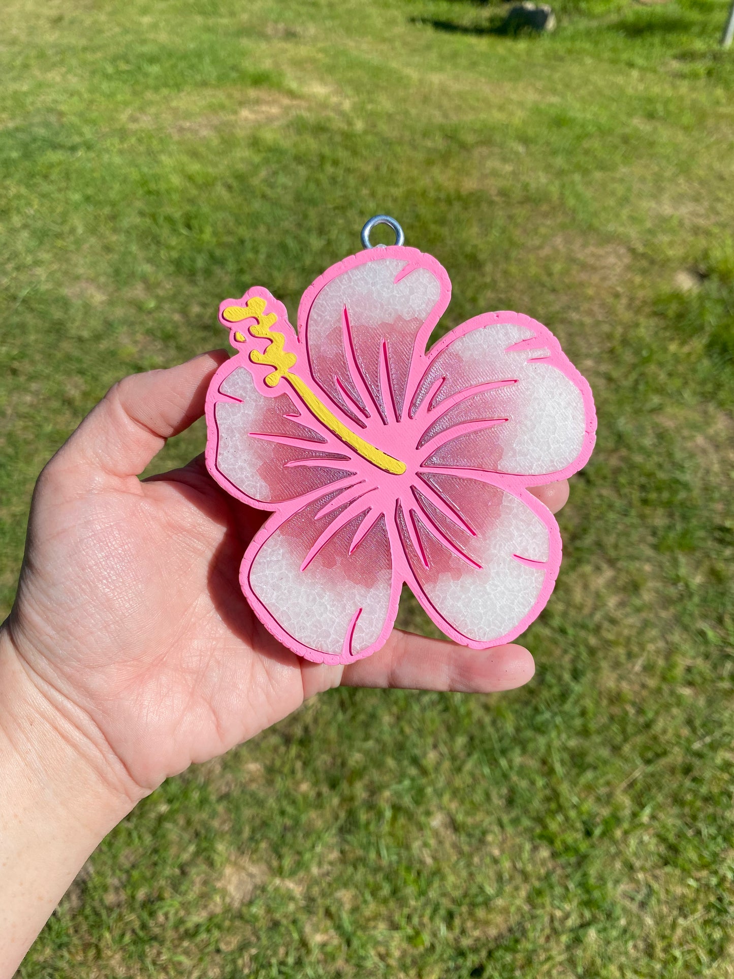 Hibiscus Freshie