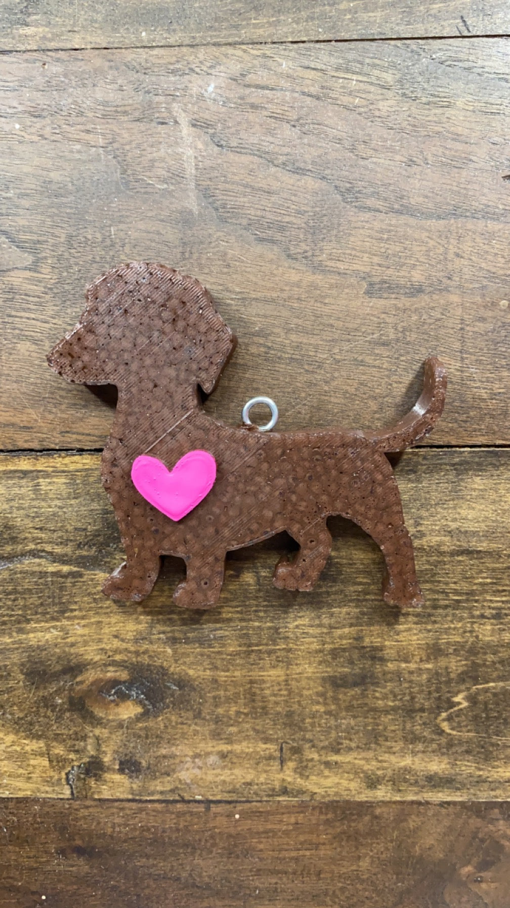Dachshund Freshie