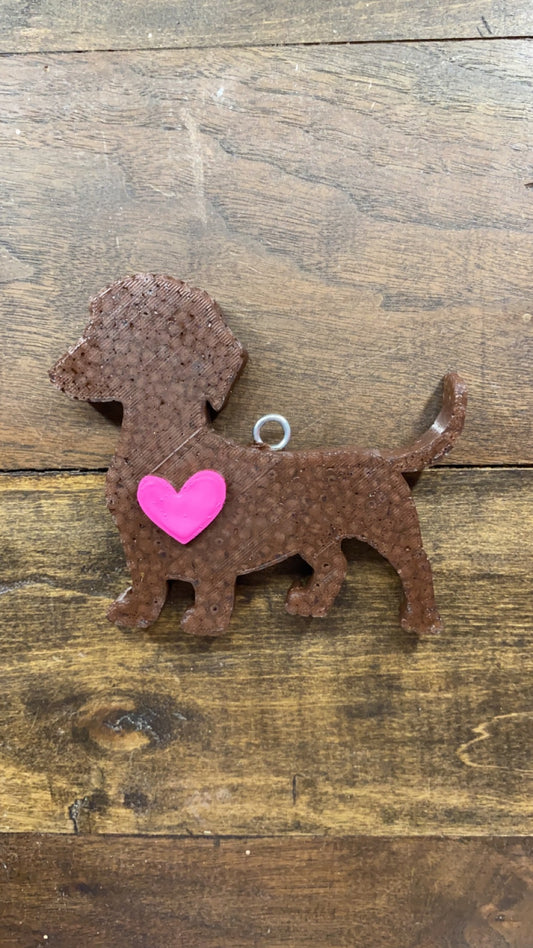 Dachshund Freshie