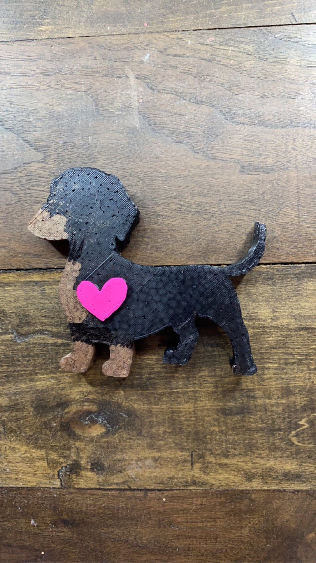 Dachshund Freshie