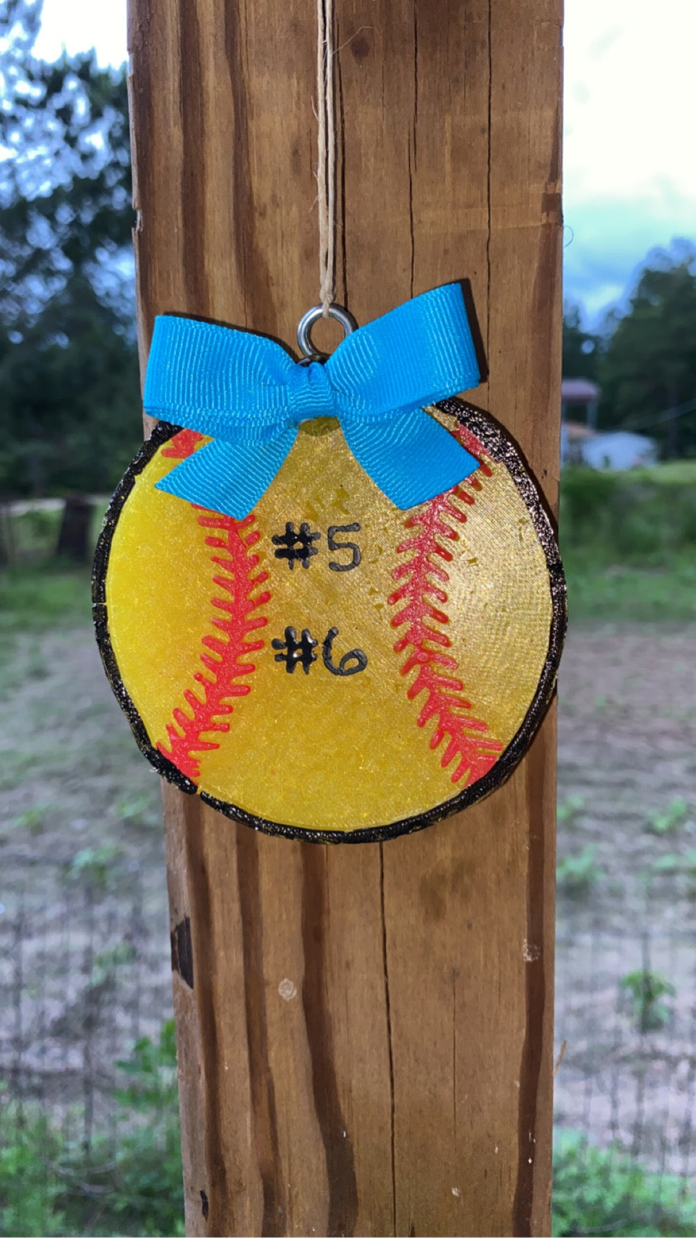 Baseball/Softball Freshie