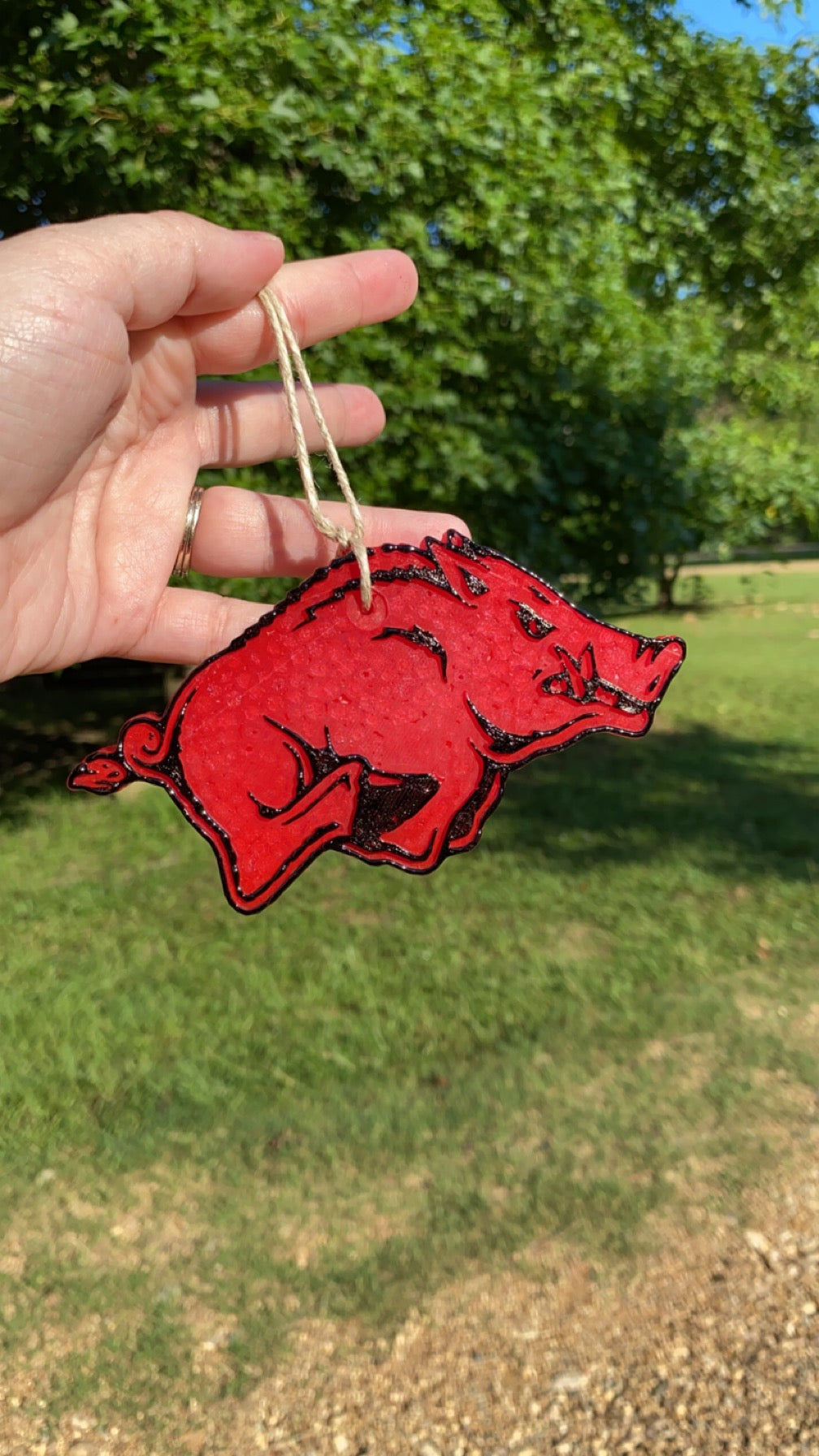 Razorback Freshie